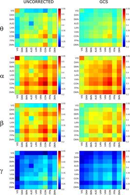 The Impact of the Geometric Correction Scheme on MEG Functional Topology at Rest